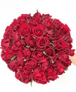 Le 36 roses rouges