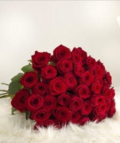 Le 50 roses rouges 🌹